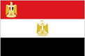 Egypt Presidential Flags