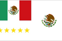 Mexico Presidential Flag